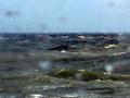 Cuxhaven  Sept. 2015 088jpg.jpg
