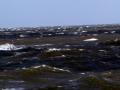 Cuxhaven  Sept. 2015 090jpg.jpg